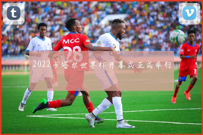 2022卡塔尔世界杯开幕式正式举行